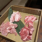 Asiantabele WAKA-DORI - 